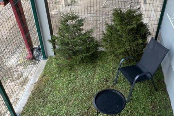 2 Odalı Kiralık Daire