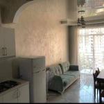 س. خيمشيشفيلي 20 | شقة 1+1 للإيجار | 45 م² | الطابق 4 | 450$