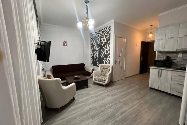 خيمشيشفيلي 65 | شقة 1+1 للإيجار | 45 م² | الطابق 9 | 450$