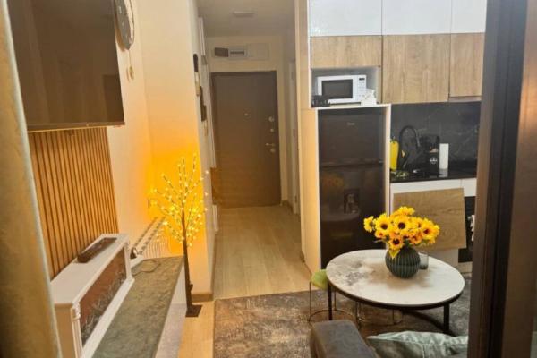 გ. ლორტკიპანიძე 24 | ქირავდება 1+1 ბინა | 45 მ² | 7-ე სართული | 450$