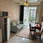 Химшияшвили 20 | 1+1 Квартира в аренду | 45 м² | 4-й этаж | 450$