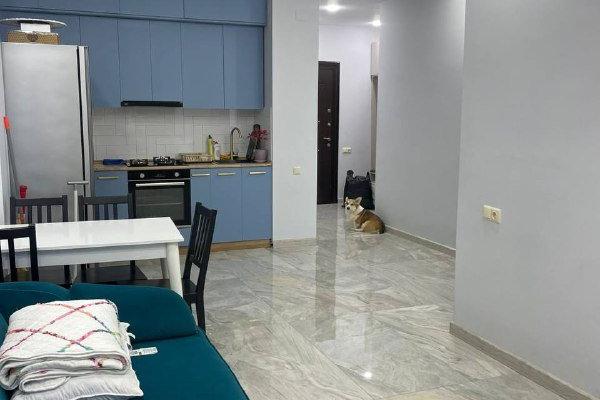 ინასარიძე 2 | ქირავდება 2+1 ბინა | 54 მ² | 4-ე სართული | 500$/თვეში