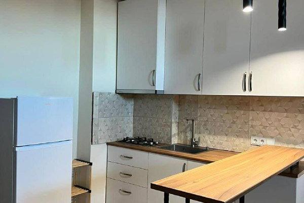 აბუსერიძის 14 | ქირავნობა 1+1 ბინა | 42 მ² | 11-ე სართული | 450$/თვეში