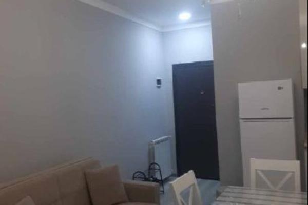 Агмашенебели 56 | Студия в аренду | 31 м² | 7-й этаж | 300$