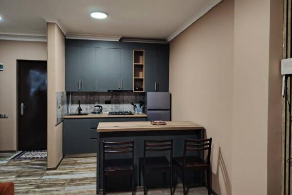 Georgi Brtskinvale 86 | Kiralık 1+1 Daire | 45 m² | 6. Kat | 450$