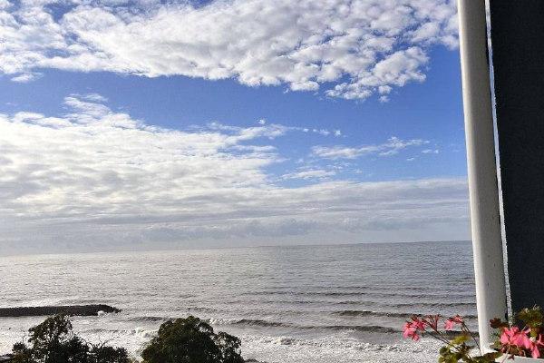 Тамар Мепе 1 | Аренда 1+1 Квартиры | 40 м² | 14-й Этаж | 400$