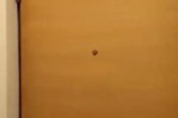 Горгасали 103 | Аренда 1+1 Квартиры | 78 м² | 3-й Этаж | 800$