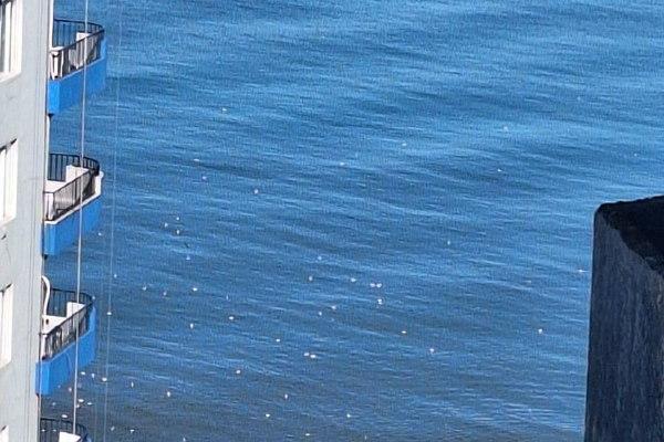 Khimshiashvili 47 | 2+1 Apartment for Rent | 65 m² | 23rd Floor | $850