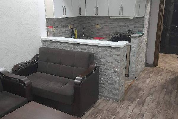 Агмашенебели 1 | 1+1 Квартира в аренду | 46 м² | 7-й этаж | 370$
