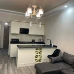 Чавчавадзе 93/34 | 1+1 Квартира в аренду | 50 м² | 12-й этаж | 550$