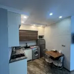 Niko Pirosmani 16A | Kiralık 1+1 Daire | 50 m² | 17. Kat | 500$