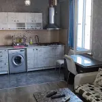 Davidi Aghmashenebeli 3 | Kiralık 1+1 Daire | 50 m² | 12. Kat | 400$